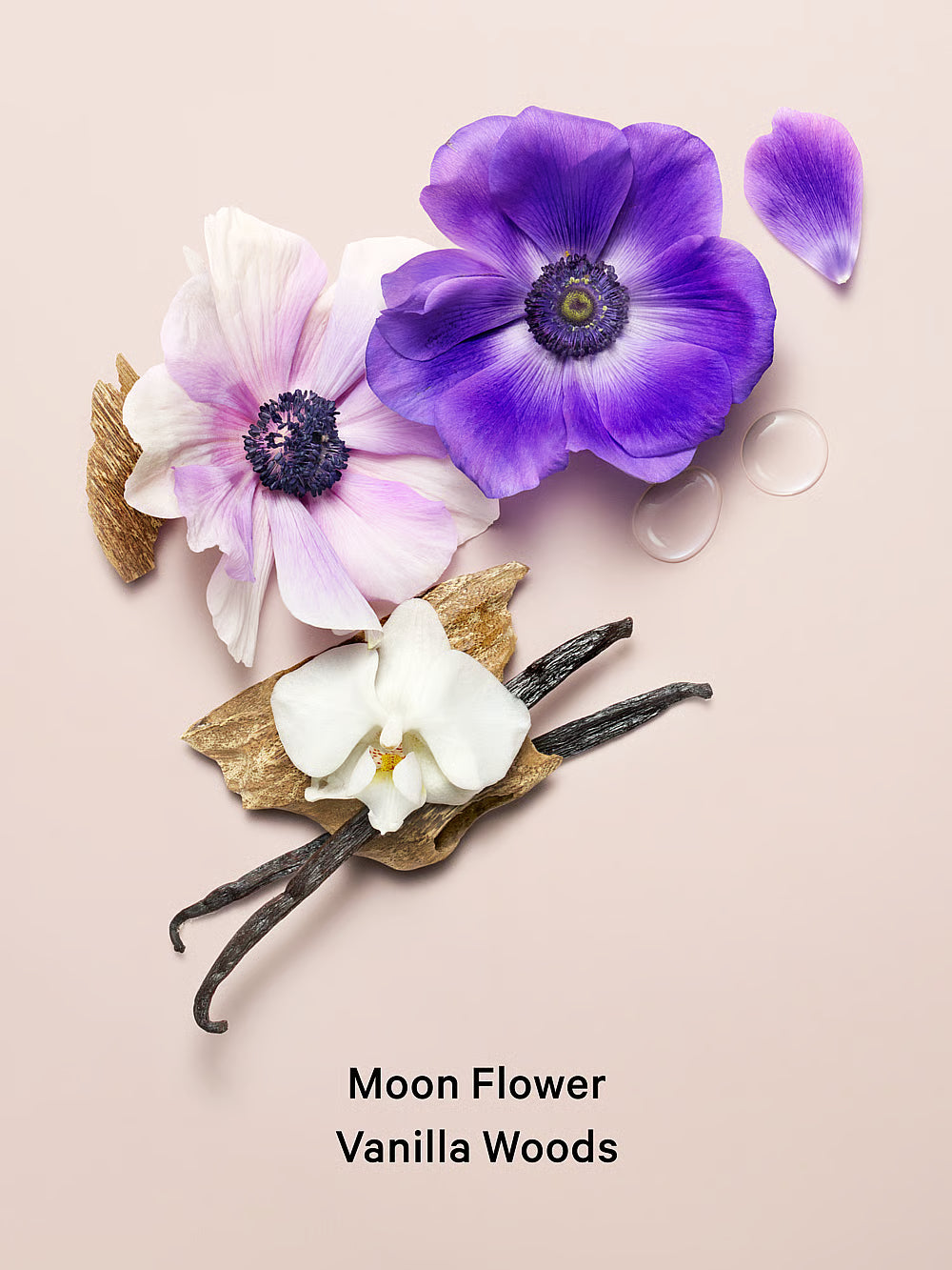 Victoria's Body Fragrance Midnight Bloom Shimmer Fragrance Lotion