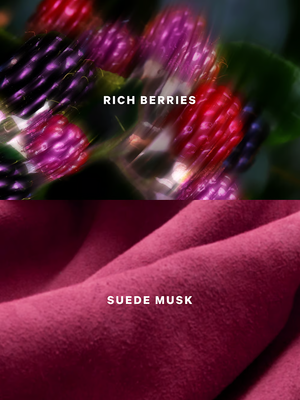 Victoria's Secret Suede Wonder Fragrance Mist