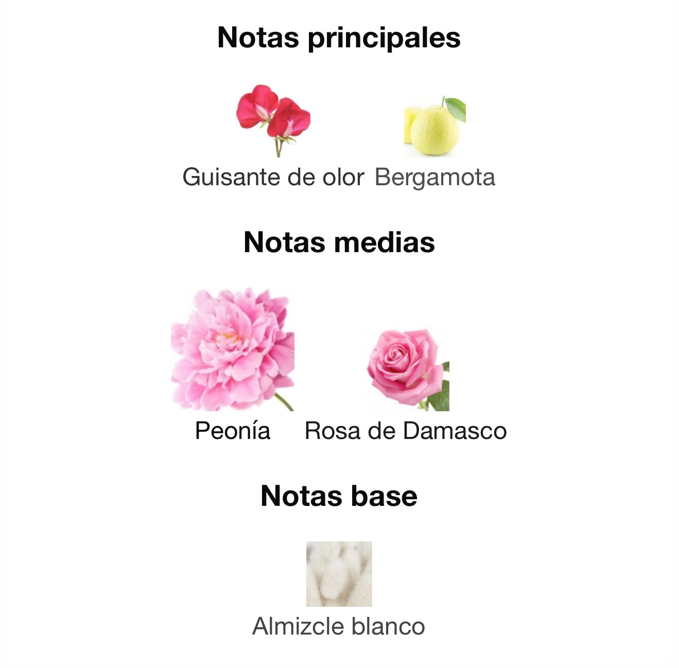 (Tester)Miss Dior Blooming Bouquet 100 ml