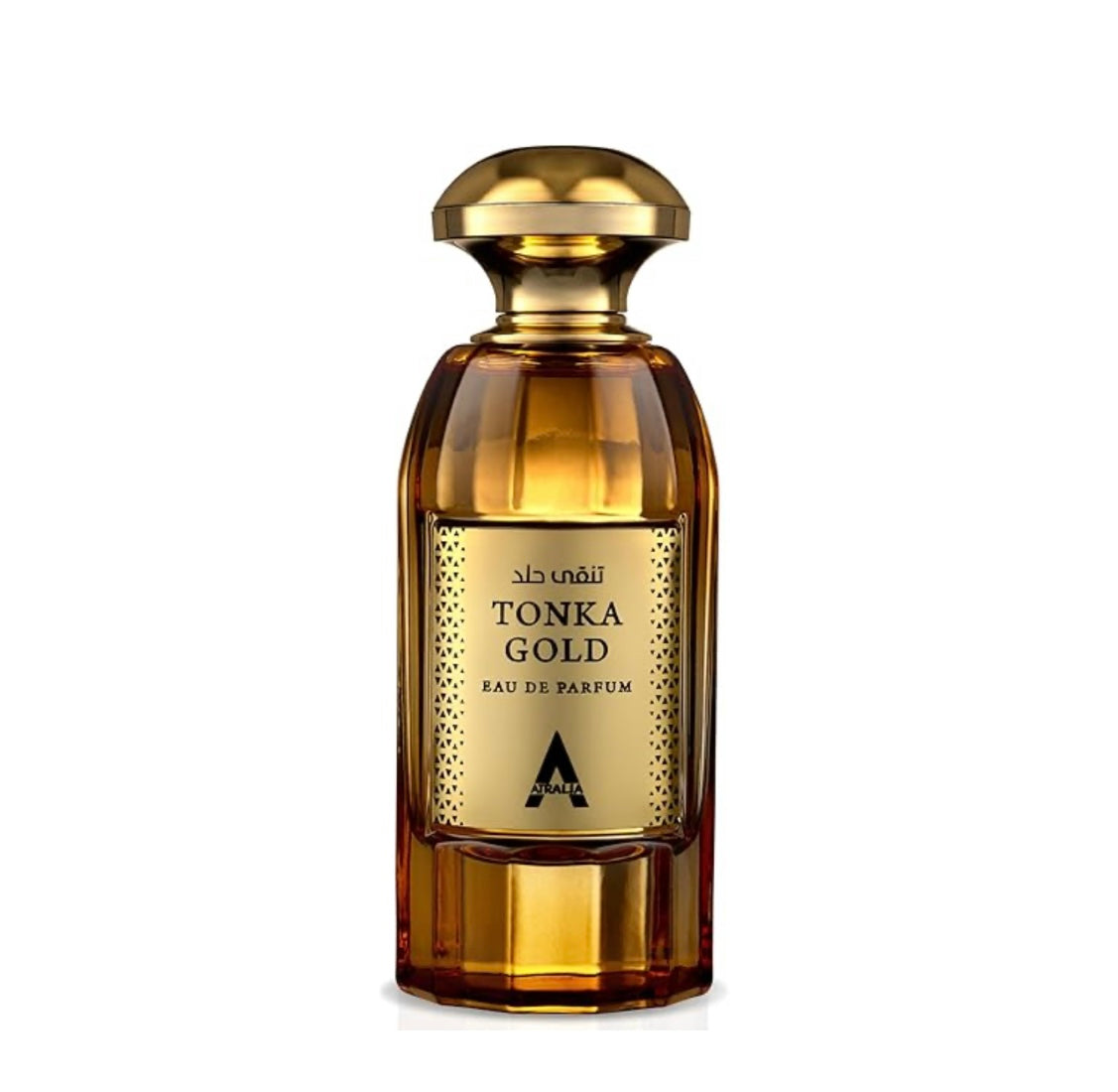 Tonka Gold Atralia for Men and Women