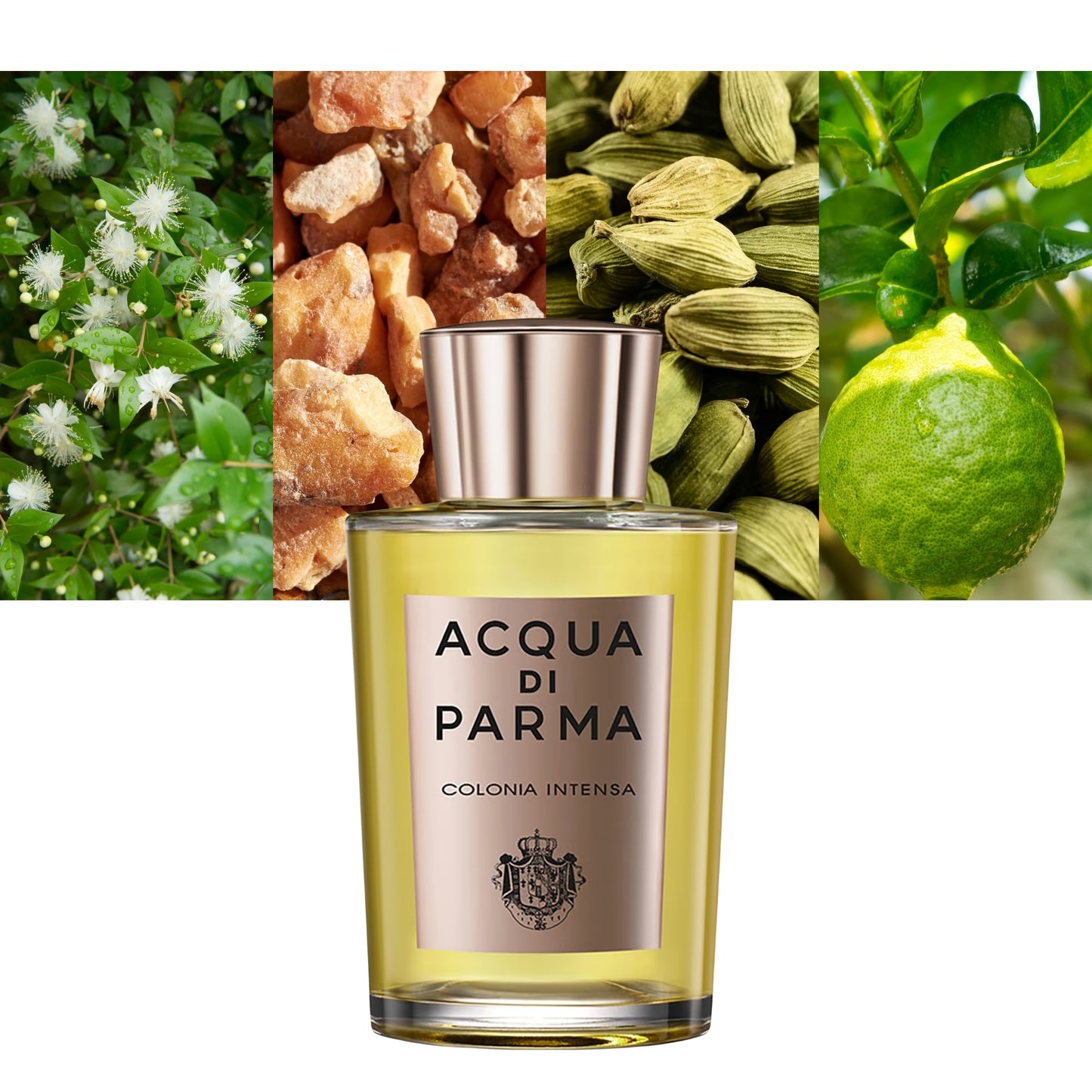 (TESTER) ACQUA DI PARMA Acqua Di Parma (Colonia Intensa) Eau De Cologne