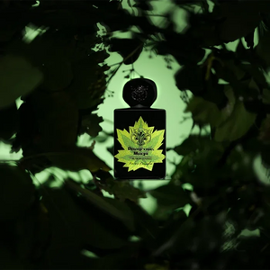 Dangerous Maryx - Limited Edition Lorenzo Pazzaglia for women and men
