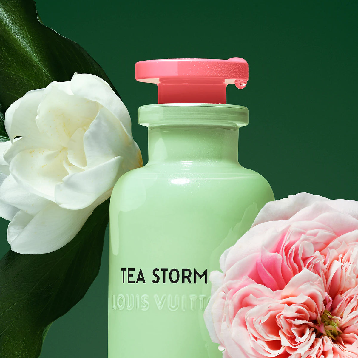 LV Tea Storm Louis vuitton
