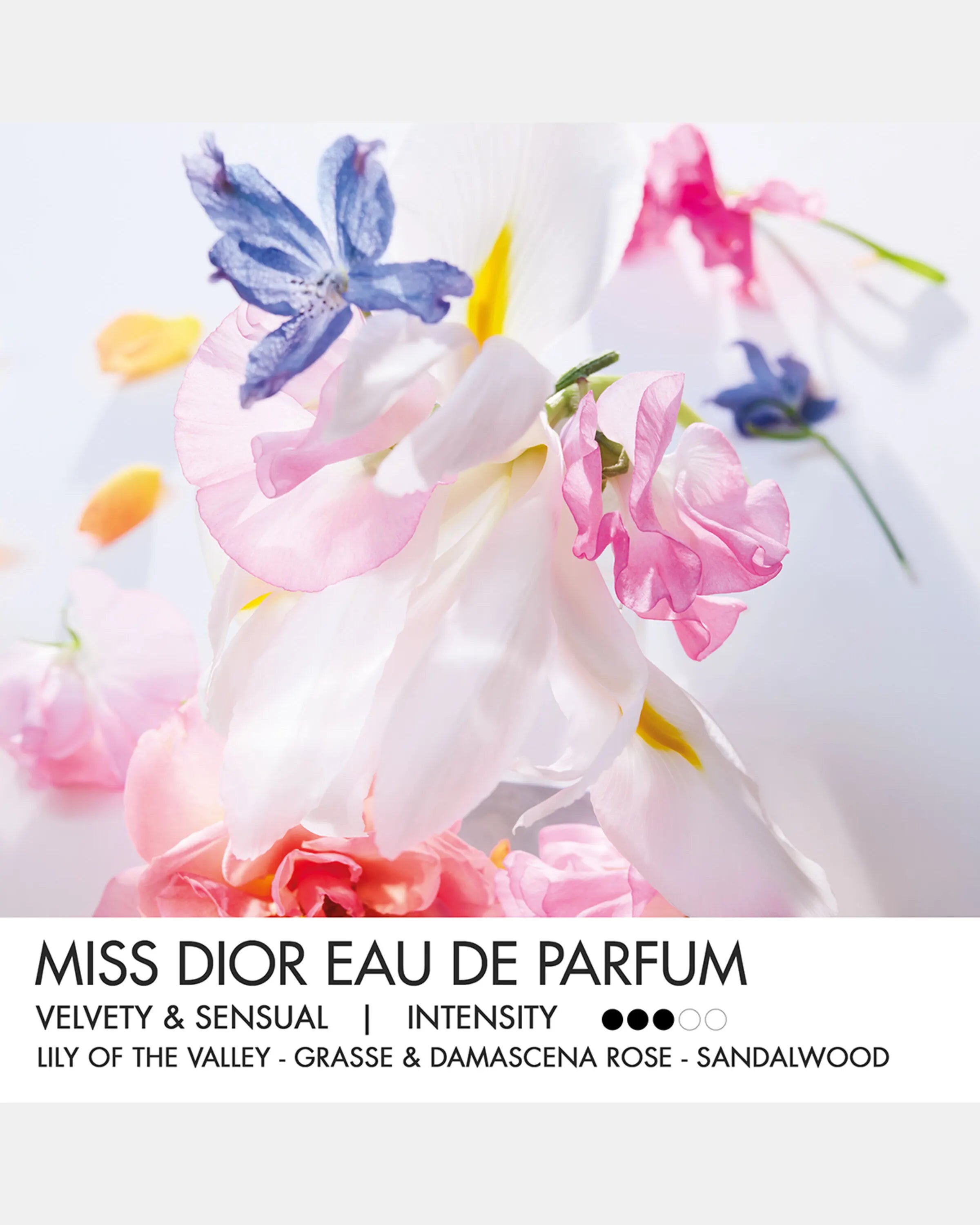 DIOR Miss Dior Eau de Parfum