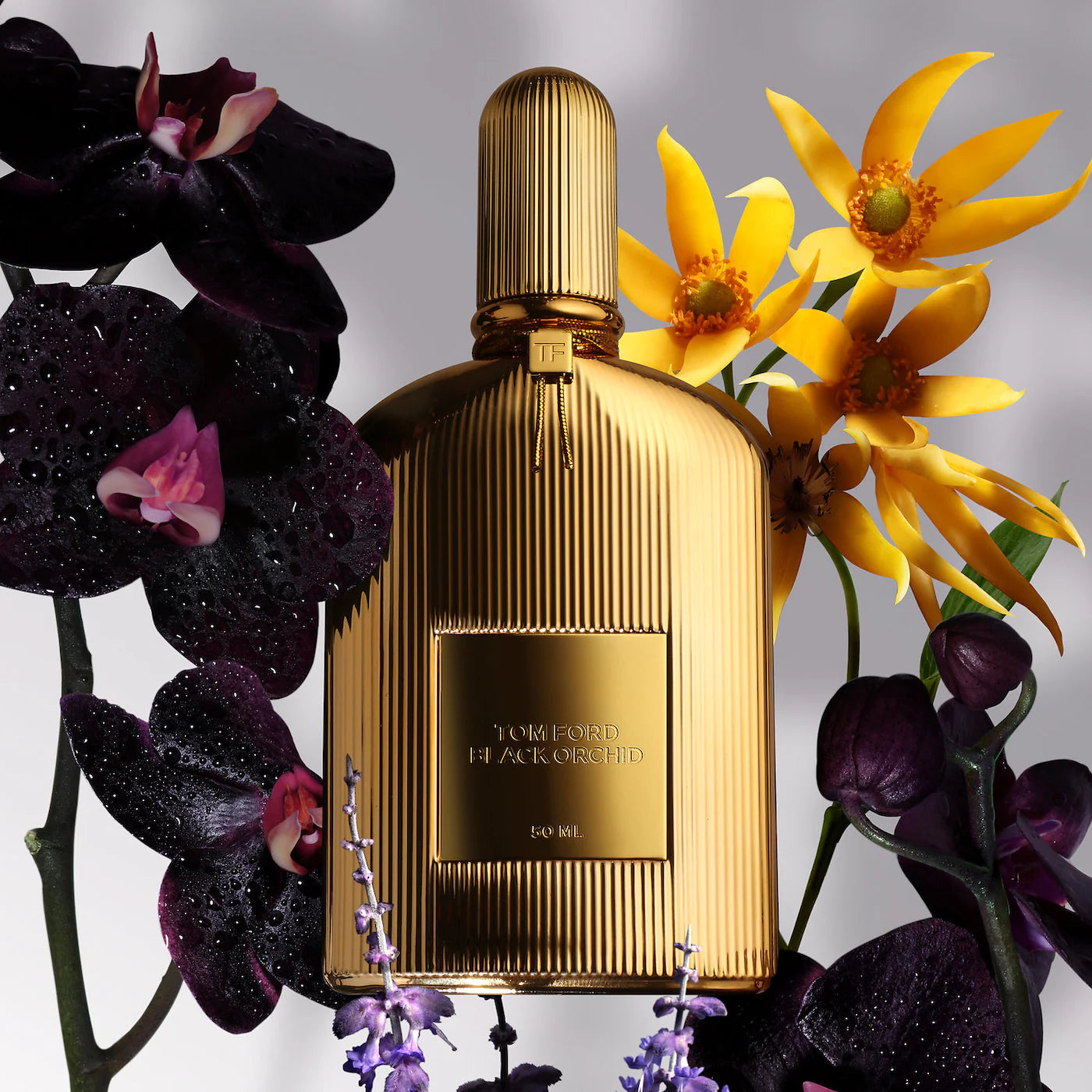 (TESTER)(Without box) TOM FORD  Black Orchid Parfum Fragrance 100 ML