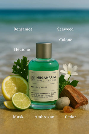Megamarine EDP 100ml/3.4 oz by Macarena