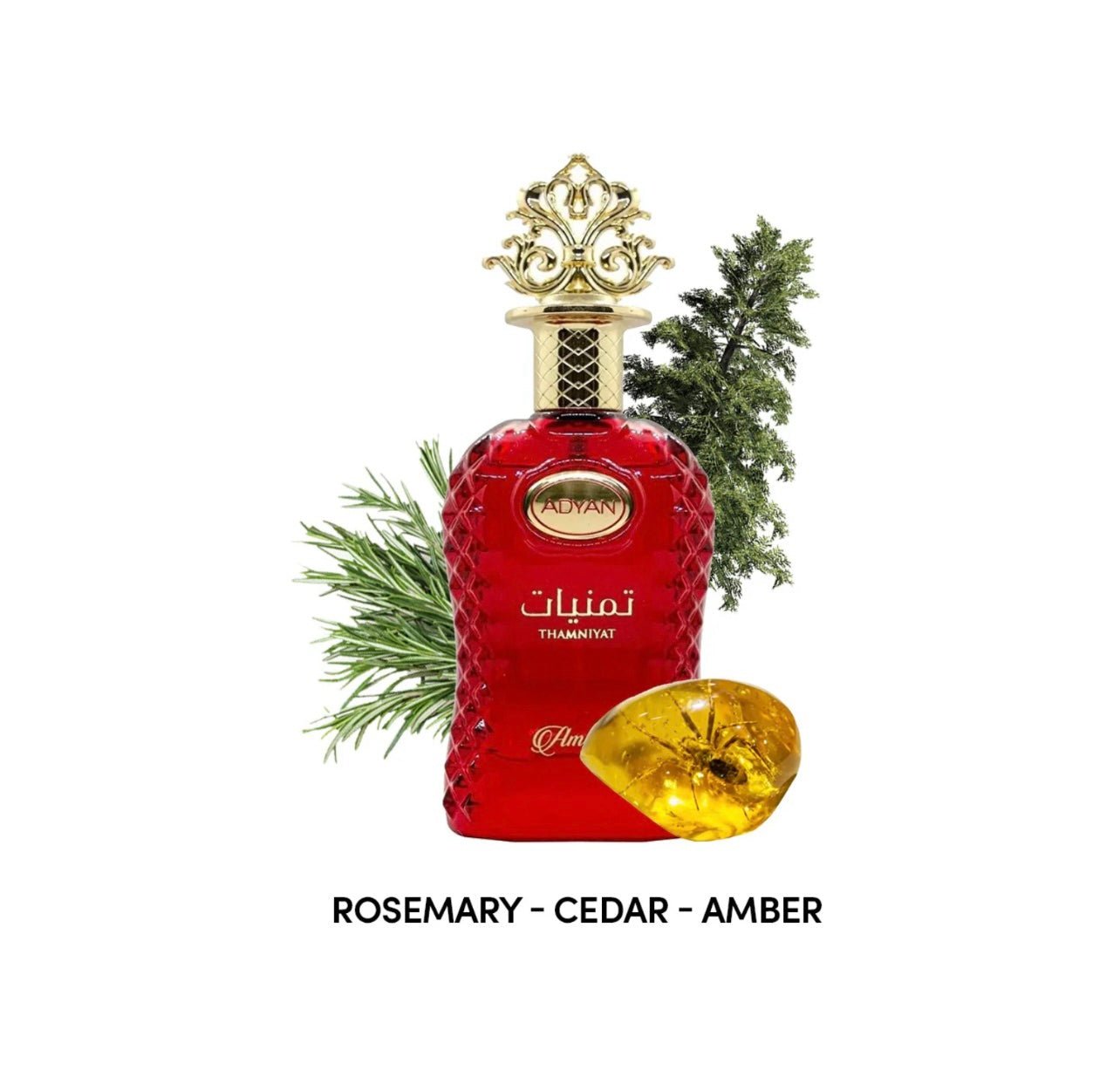 Thamniyat Ambree - Crist Fragances